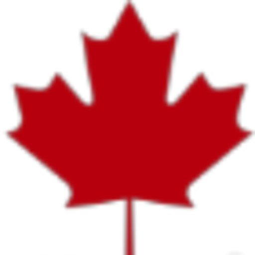Canadian Cyber logo